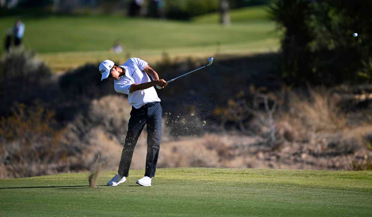 Golfer with a Long Iron