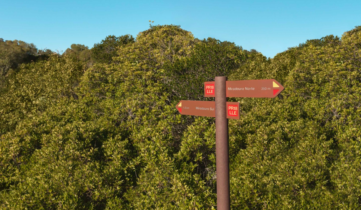 Hiking Trails