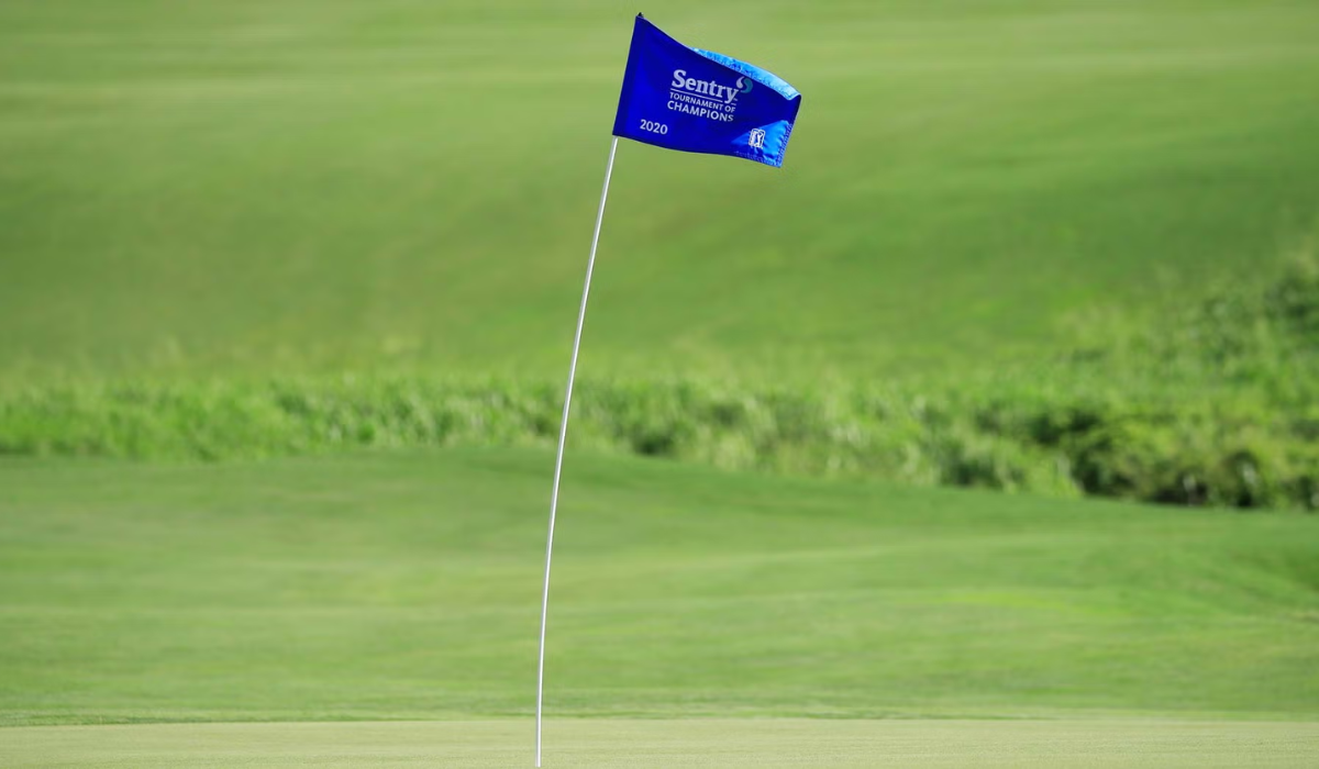 Flapping Flagstick in Wind