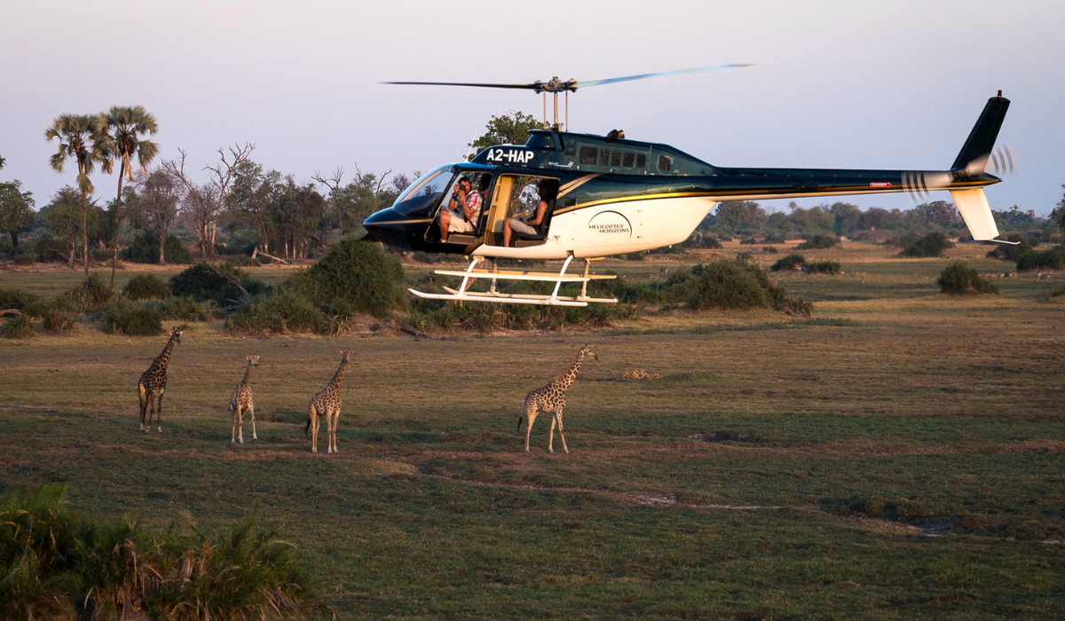 Okavango Delta Helicopter Flight