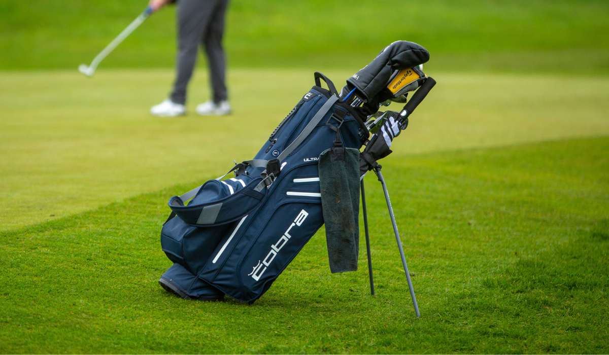 Stand Cobra Bag