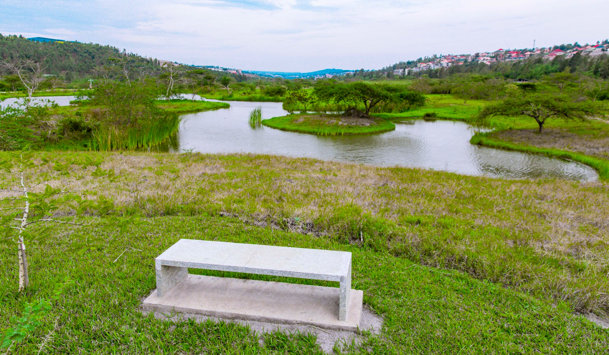 Nyandungu Eco Park