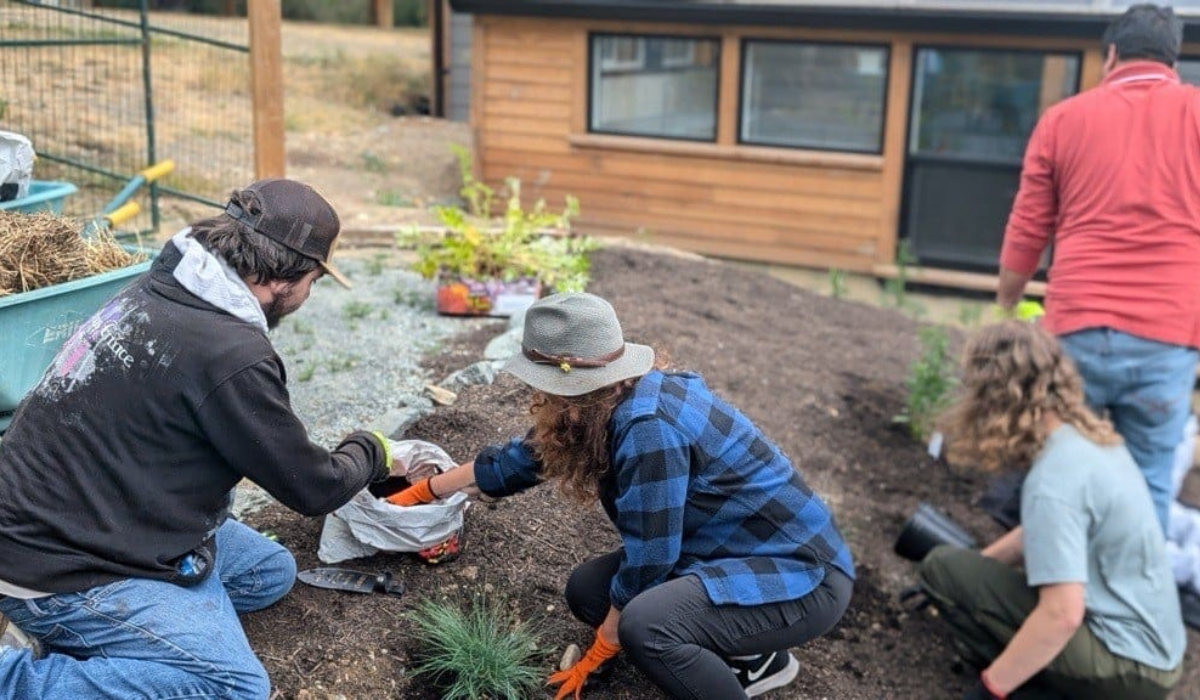 Golf Course Rewilding