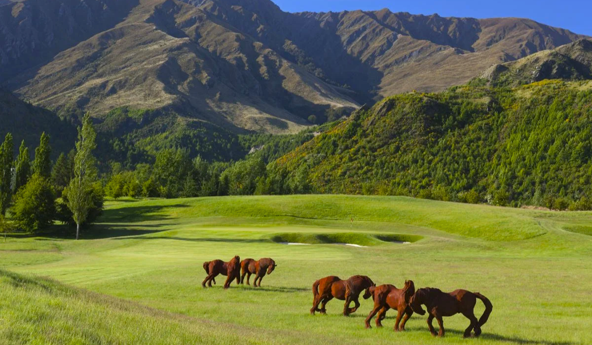 The Hills (New Zealand)