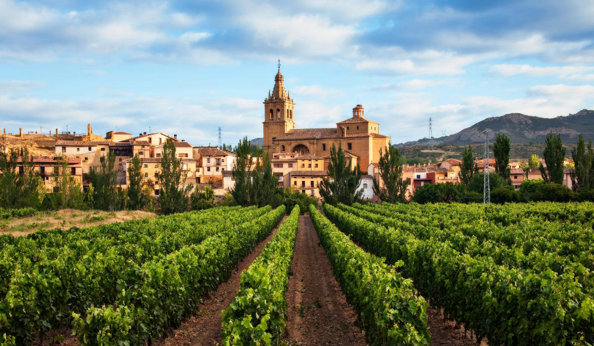 Rioja Vineyards