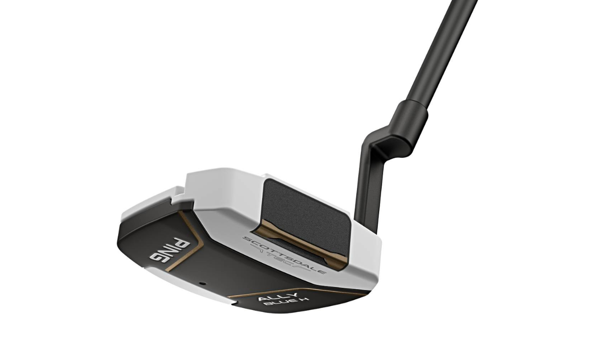 Ping PLD Custom Ally Blue H Putter