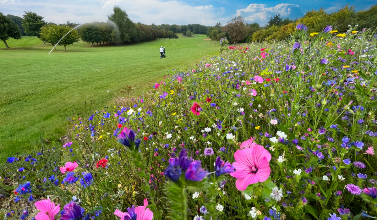 Native Wildflowers Golf Course