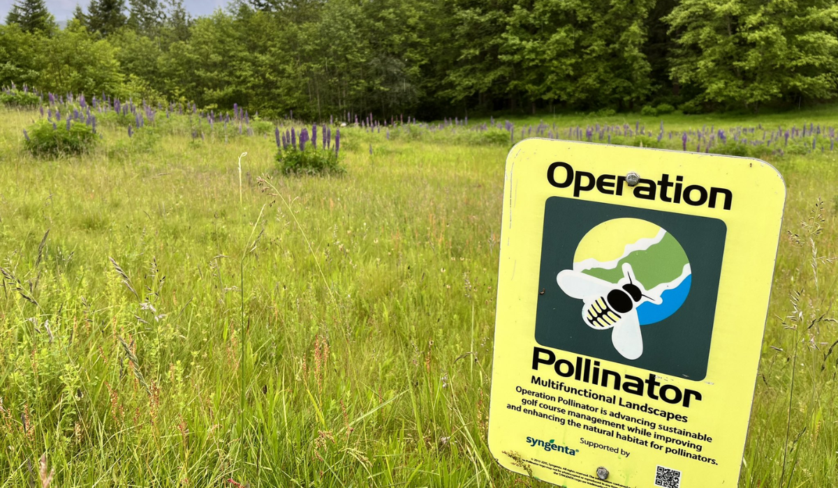 Pollination