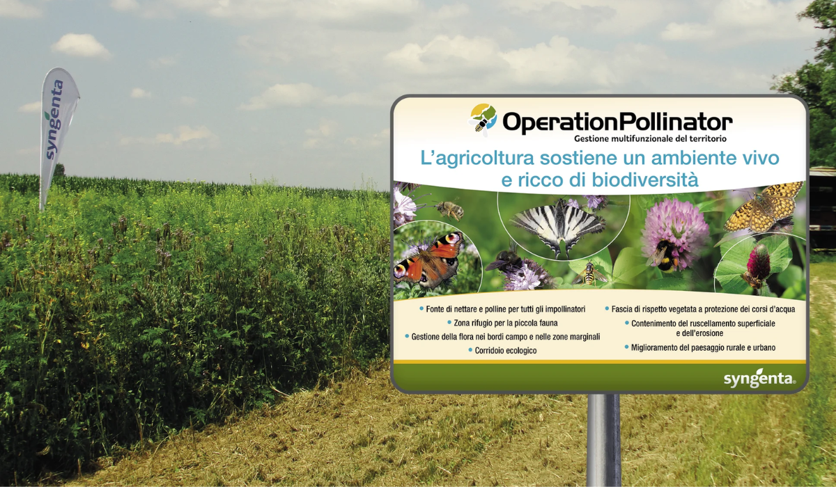 Syngenta's Operation Pollinator