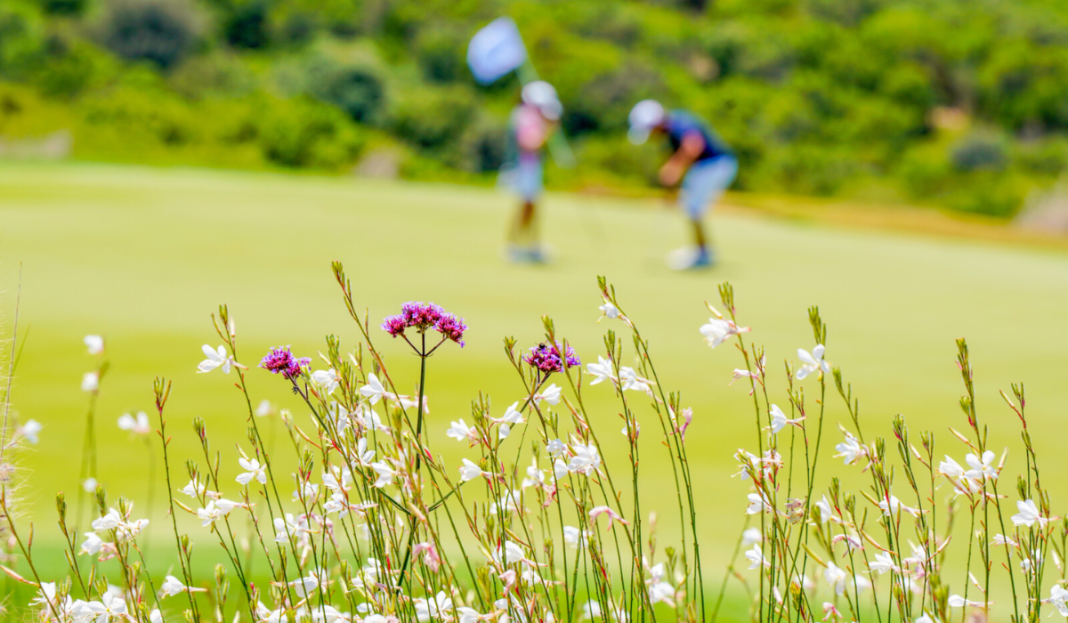 Flowers on the Golf Course