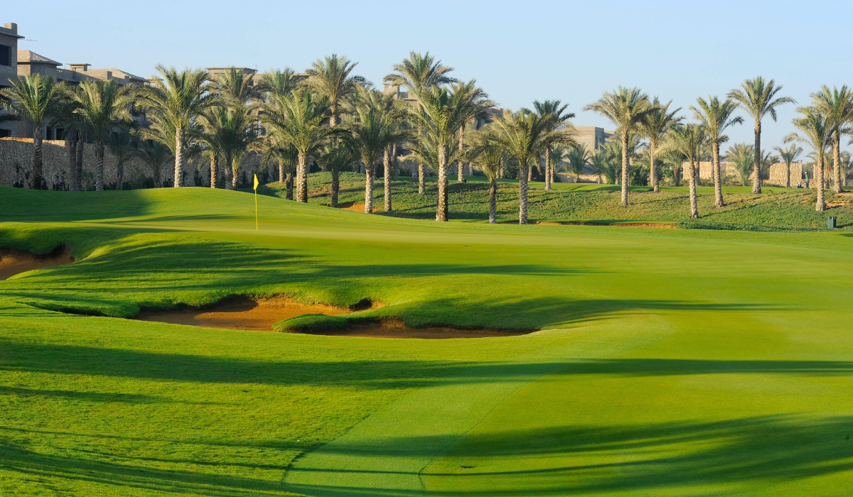 Katameya Dunes