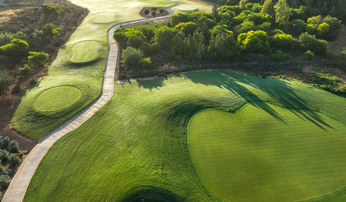 Bermuda Grass on Limassol Greens