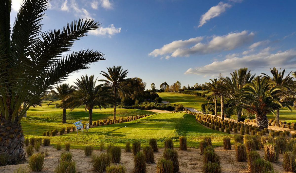 Golf Citrus in Tunisia